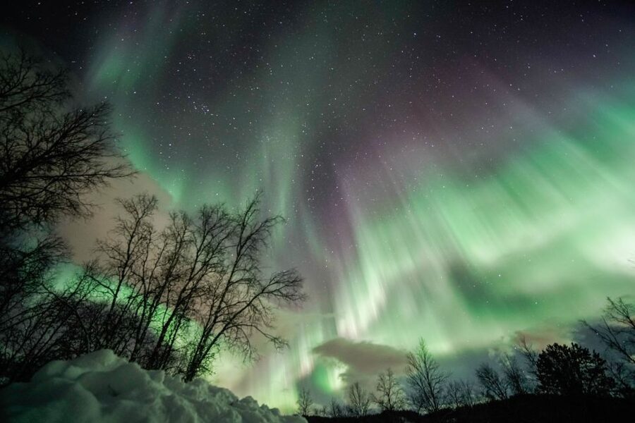 From Tromsø: Aurora Borealis Tour - Price and value: what $181 really covers in practice