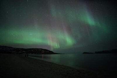 From Tromsø: Aurora Bus Tour with Snacks, Photos, and Drinks - What the guides and photographers do when the aurora shows