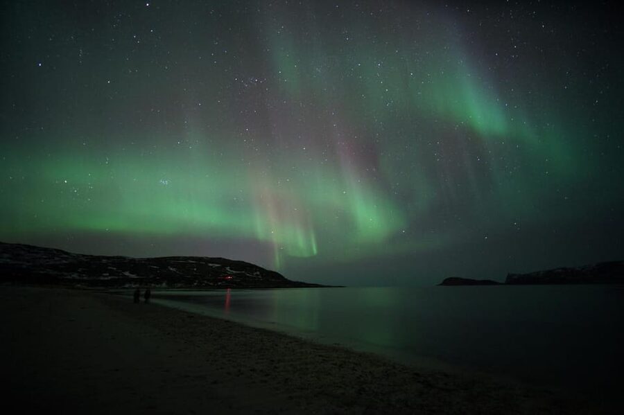 From Tromsø: Aurora Bus Tour with Snacks, Photos, and Drinks - Price and logistics: what you’re really paying for