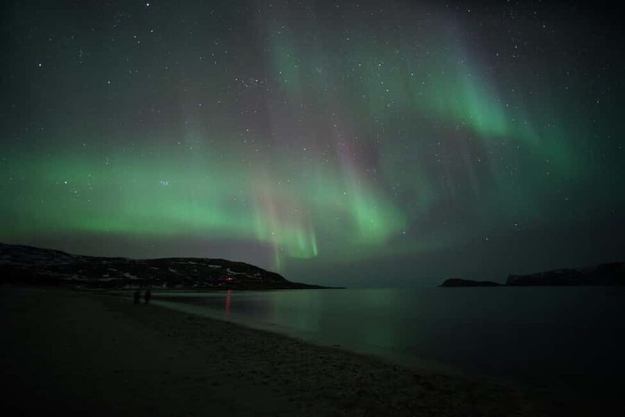 From Tromsø: Aurora Bus Tour with Snacks, Photos, and Drinks - What the guides and photographers do when the aurora shows
