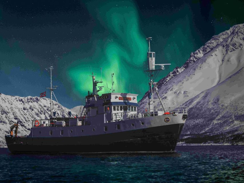 From Tromsø: Northern Lights Cruise on a Cozy Vintage Vessel - Key things to know before you go