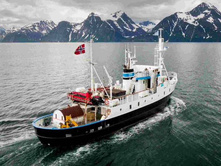 From Tromsø: Northern Lights Cruise on a Cozy Vintage Vessel - Why the vintage MS Strønstad setup helps your chances