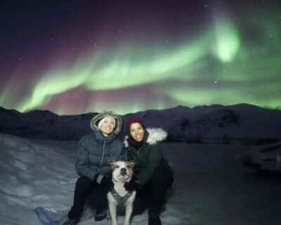 From Tromso: Northern Lights Photography Tour - Starting at Tromsø Activities Hostel: The Setup That Keeps You Comfortable