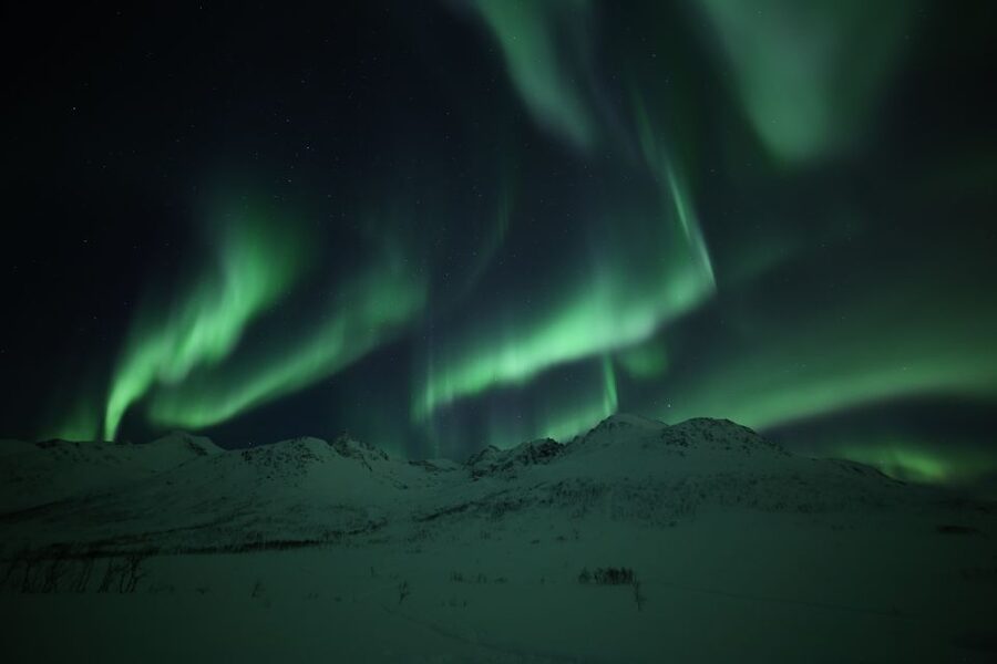 From Tromso: Northern Lights Photography Tour - Photography Help Without a Tripod (And What You Still Should Know)