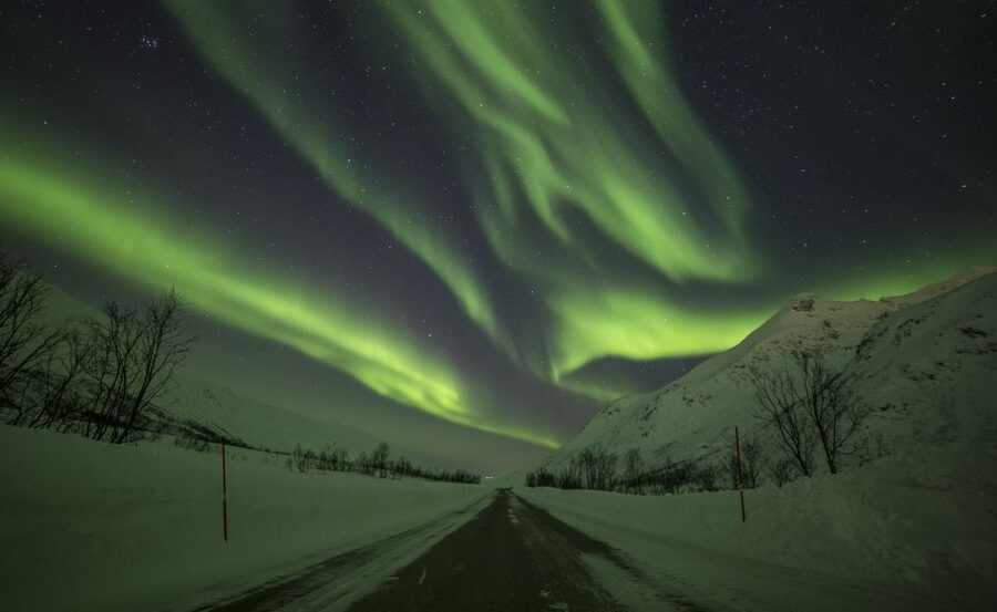 From Tromsø: Northern Lights Tour - Troms County stop: photo time, dinner, and the first real “oh wow”