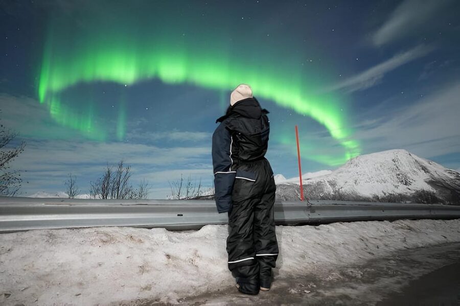 From Tromsø: Northern Lights Tour in Minibus with Photos - Chasing clear skies: where you’ll look for aurora and why it changes