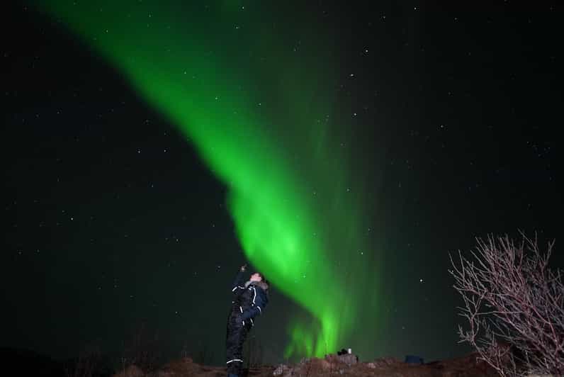 From Tromsø: Northern Lights Tour with Hot Drinks and Photos - The Minibus Comfort You’ll Be Thankful For