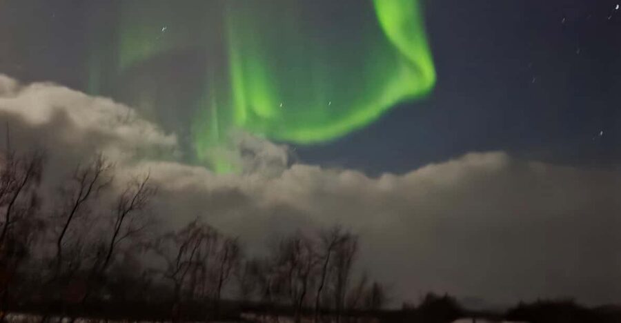From Tromsø: Northern Lights Tour - Starting at Magic Ice Bar: the first calm moment before the chase
