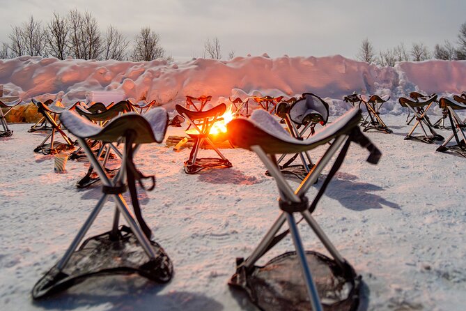 From Tromsø: Official Northern lights Safari - Photo Help: Making the Northern Lights Look Like Northern Lights
