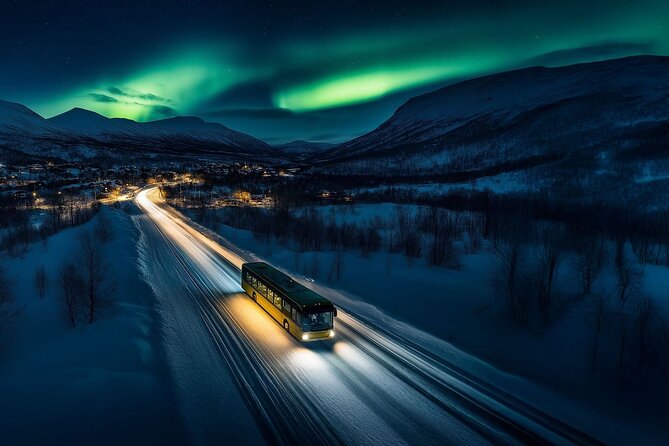 From Tromsø: Official Northern lights Safari - Price and Value: Why $101.02 Can Make Sense