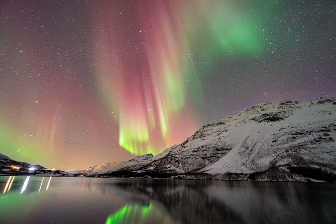 From Tromsø: OFFICIAL Northern Lights Safari by Minibus - Key things to know before you go