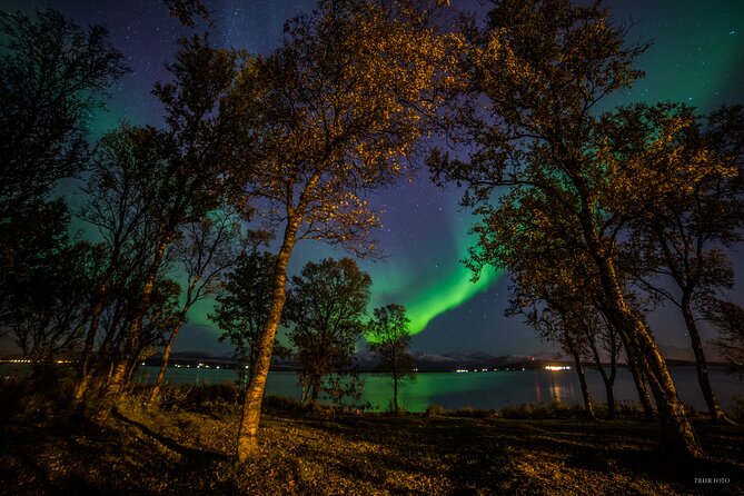 Full Night Magic of the Northern Lights in Tromso - Key highlights at a glance