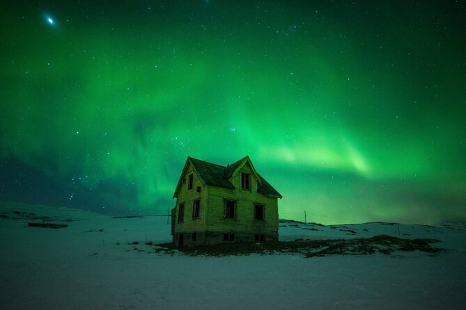 Full Night Magic of the Northern Lights in Tromso - The real deal: what this Northern Lights tour is like