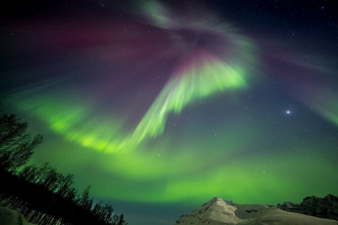 Full Night Magic of the Northern Lights in Tromso - The Tromsø strategy: what happens if the lights don’t show right away