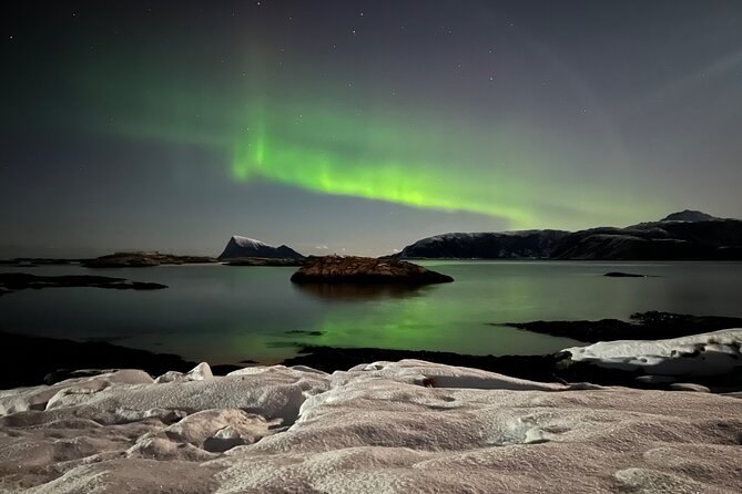 Full Night Magic of the Northern Lights in Tromso - Bonfire time: warm drinks, snacks, and a real Arctic break