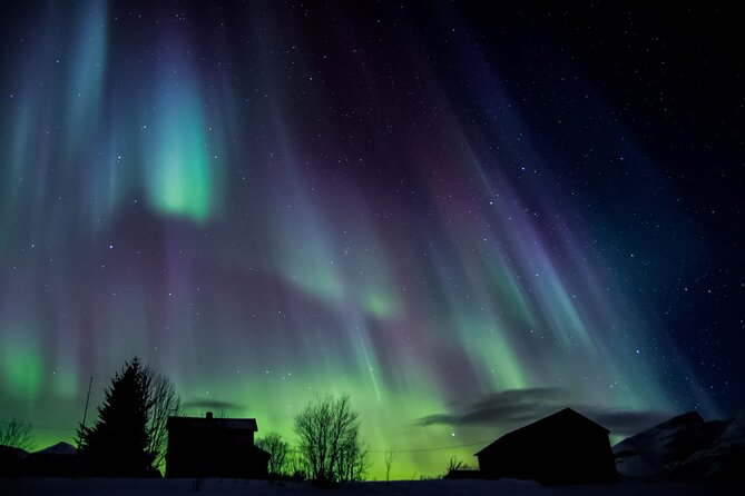 Full Night Magic of the Northern Lights in Tromso - Toilets, breaks, and staying comfortable in -30°C reality