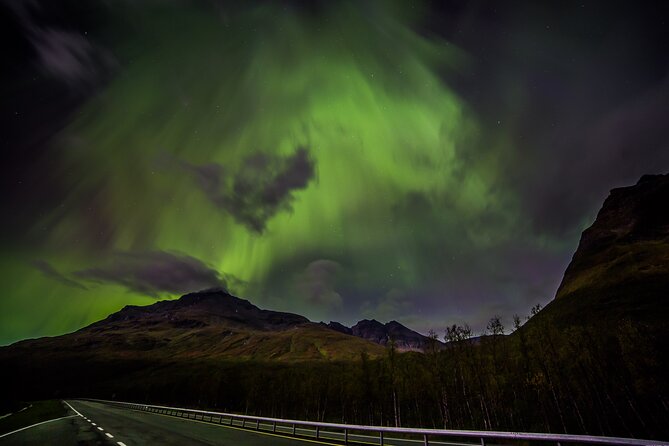 Full Night Magic of the Northern Lights in Tromso - Chasing the aurora by minibus: why small group + remote driving works