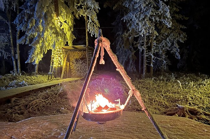 Glass Igloo Campfire Dinner under Northern Lights - Glögi and three courses: the comfort side of the night