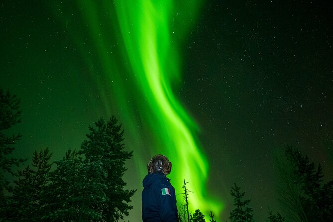 Go on a Northern Lights Photography Tour - Small Group by minivan - Key highlights worth your time