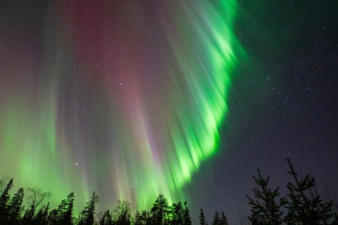 Go on a Northern Lights Photography Tour - Small Group by minivan - Lapland driving time: building chances while staying warm