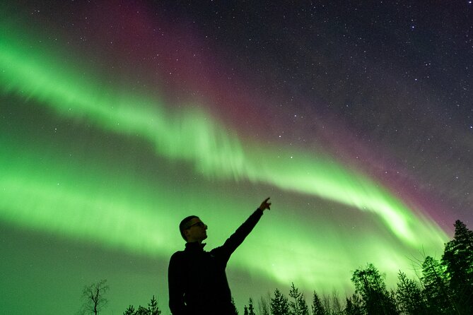 Go on a Northern Lights Photography Tour - Small Group by minivan - Returning to Rovaniemi: drop-off that keeps the night easy