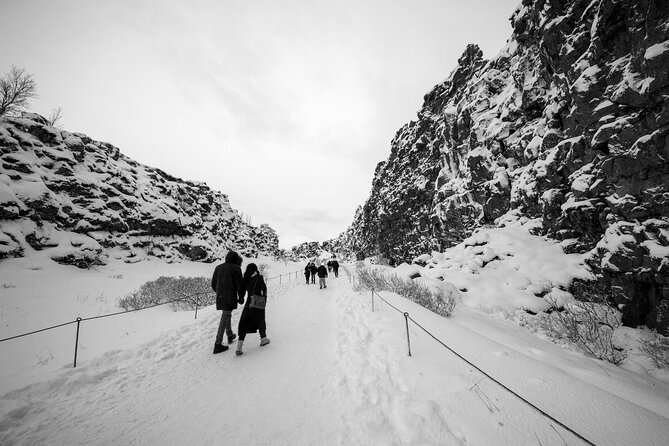 Golden Circle, Northern Lights and Blue Lagoon Tour with Ticket - A one-day Golden Circle and aurora plan that actually fits