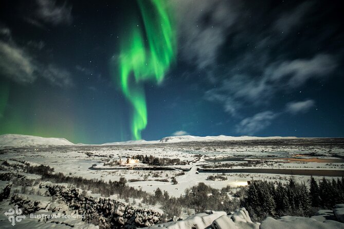 Golden Circle, Secret Lagoon and Northern Lights Tour - Morning Part: Golden Circle Without the Driving Stress