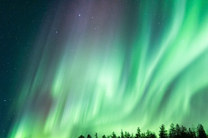 Guaranteed Aurora Hunting Tour from Rovaniemi with Local Guide - Price and value: what $191.88 really covers