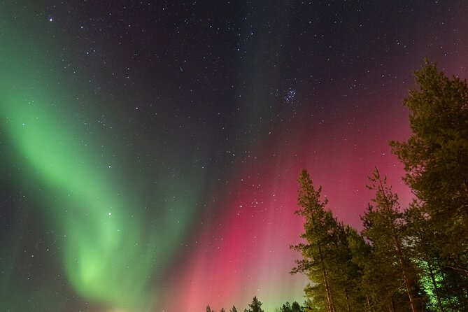 Guaranteed Aurora Hunting Tour from Rovaniemi with Local Guide - Who this tour fits best (and who should skip)