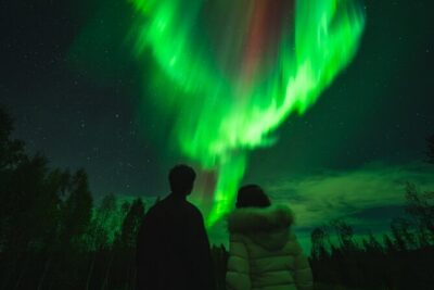 Guaranteed Northern Lights Group Tour with Photos - The Lapland night drive: how the hunt actually works