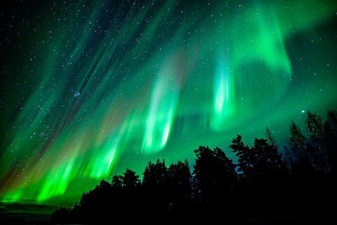 Guaranteed Northern Lights Hunting Adventure in Lapland - Price and Value at $238.85: What You’re Actually Paying For