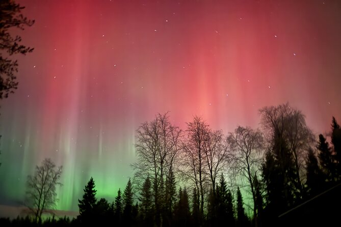Guaranteed Northern Lights Tour in Rovaniemi - Pickup and Timing: The Smooth Part of an Otherwise Chaotic Arctic Night