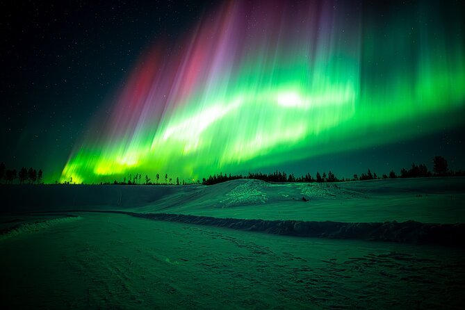 Guaranteed Northern Lights Tour with Photos - What you get during the wait: snacks, drinks, and staying comfortable