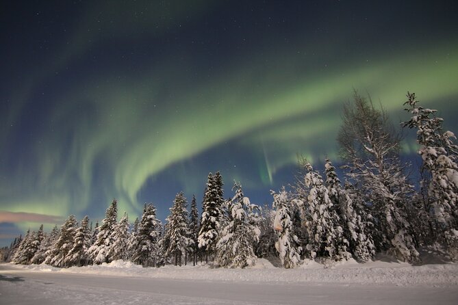 Guided Northern Lights Tour at Kiruna - Hot drinks, winter gear, and those fire-lit moments
