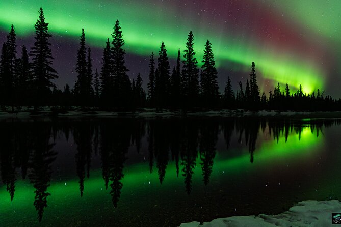 Half Night Personalized Aurora Chase and Photography - Fairbanks After Dark: How This Aurora Chase Gets Personal