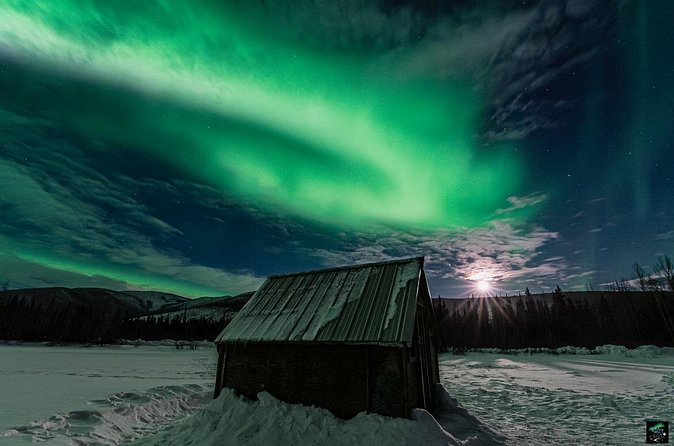 Half Night Personalized Aurora Chase and Photography - Aurora Discussion + Photography Help: More Than Just a Ride to the Dark