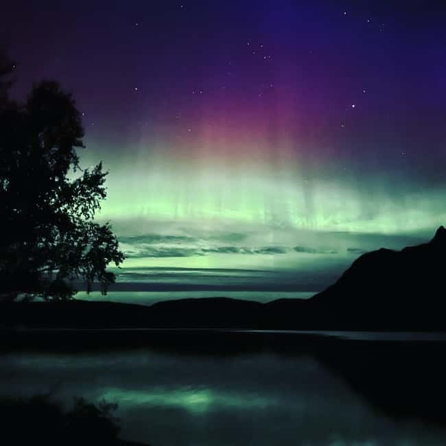 Harstad/Narvik: Northern Lights Tours with Second Day Chance - Key Things I’d Watch For Before You Go