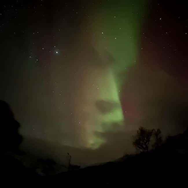 Harstad/Narvik: Northern Lights Tours with Second Day Chance - Northern Lights Reality Check: Weather Risk and the Passport Requirement
