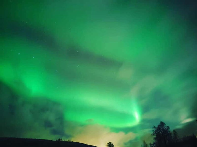 Harstad/Narvik/Tjeldsund: Northern Lights Sightseeing by Car - Barbecue and fishing add-ons: when you want the outdoors to do more