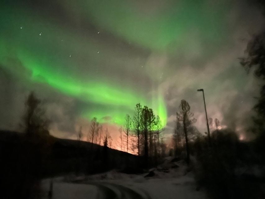 Harstad/Narvik/Tjeldsund: Northern Lights Sightseeing by Car - After dark: how the guide improves your odds (without false promises)