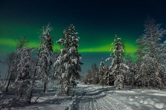 Hunting Northern Lights with Husky - Campfire Warm-Up, Sausages, and Marshmallows in the Tent