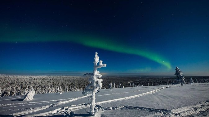 Hunting Northern Lights with Husky - Guides, Group Size, and How the Night Stays Moving