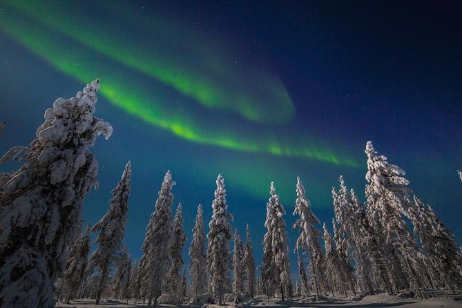 Hunting Northern Lights with Husky - What the Evening Really Looks Like: Pickup, Ride, Camp, Aurora Search