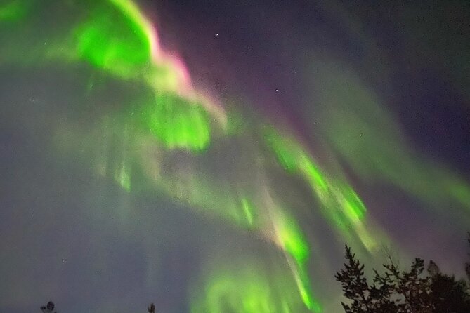 Husky Sled Ride Northern Lights Tour from Kiruna - Key things I’d focus on before you go