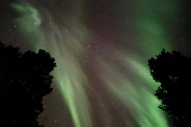 Husky Sled Ride Northern Lights Tour from Kiruna - How physically demanding is it, really?