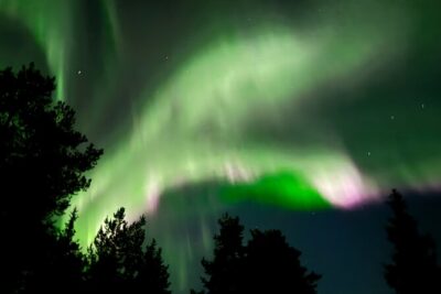 Husky Sled Ride Northern Lights Tour from Kiruna - The tipi stop: coffee, cinnamon roll, fire, and picture time