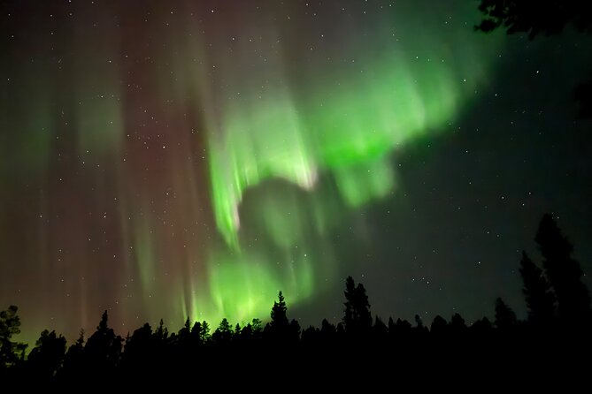 Husky Sled Ride Northern Lights Tour from Kiruna - Weather reality: operating in all conditions, but aurora needs the sky