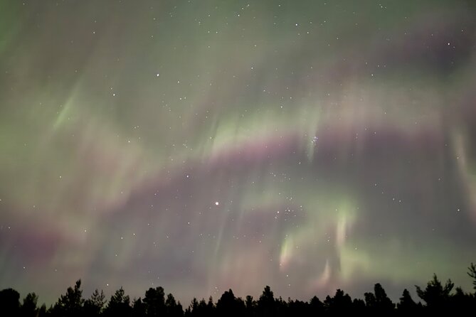 Husky Sled Ride Northern Lights Tour from Kiruna - Tips to help you get more from the night