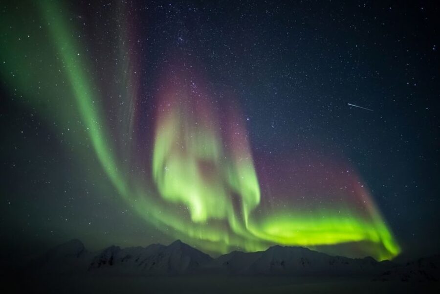 Iceland: South Coast and Northern Lights Tour - Sólheimajökull Glacier and Reynisfjara Black Sand Beach