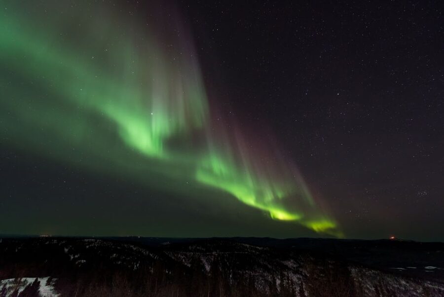 Iceland: South Coast and Northern Lights Tour - Price and Logistics: Is $173 a Good Deal?